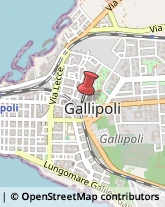 Scuole Pubbliche Gallipoli,73014Lecce