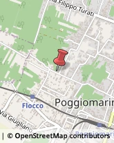 Motoseghe Poggiomarino,80040Napoli