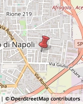 Trasporti Melito di Napoli,80017Napoli