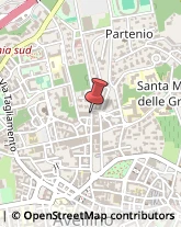 Articoli per Ortopedia Avellino,83100Avellino