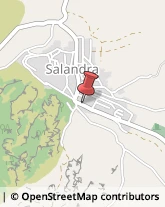 Aziende Sanitarie Locali (ASL) Salandra,75017Matera