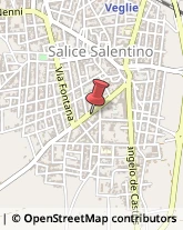 Articoli da Regalo - Dettaglio Salice Salentino,73015Lecce