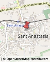 Rosticcerie e Salumerie Sant'Anastasia,80048Napoli