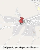 Articoli Sportivi - Dettaglio Buccino,84021Salerno