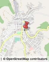 Autotrasporti Genzano di Lucania,85013Potenza