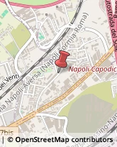 Laboratori di Analisi Cliniche,80026Napoli