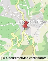 Consulenza Agricoltura e Foresta Caselle in Pittari,84030Salerno