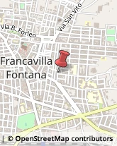 Animali Domestici - Toeletta Francavilla Fontana,72021Brindisi