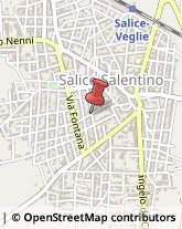 Falegnami Salice Salentino,73012Lecce