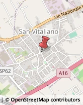 Alimentari San Vitaliano,80030Napoli