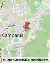 Agenzie di Animazione e Spettacolo Palma Campania,80036Napoli