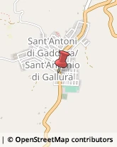 Pizzerie Sant'Antonio di Gallura,07030Olbia-Tempio