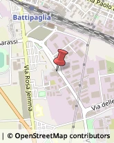 Agrumi Battipaglia,84091Salerno