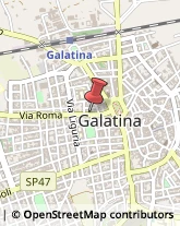 Pelletterie - Ingrosso e Produzione Galatina,73013Lecce