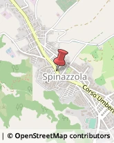 Cooperative Produzione, Lavoro e Servizi Spinazzola,76014Barletta-Andria-Trani