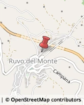 Alimentari Ruvo del Monte,85020Potenza