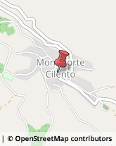 Aziende Sanitarie Locali (ASL) Monteforte Cilento,84060Salerno