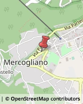 Spedizioni Internazionali Mercogliano,83013Avellino