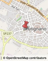 Licei - Scuole Private Putignano,70017Bari