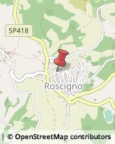 Commercialisti Roscigno,84020Salerno