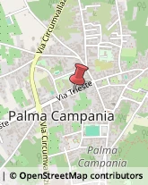 Pescherie Palma Campania,80036Napoli
