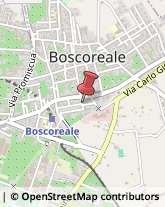 Scuole e Corsi di Lingua Boscoreale,80041Napoli