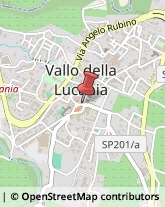 Società Immobiliari Vallo della Lucania,84078Salerno