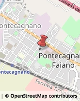 Veterinaria - Ambulatori e Laboratori Pontecagnano Faiano,84098Salerno