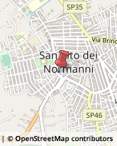 Animali Domestici - Vendita San Vito dei Normanni,72019Brindisi