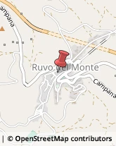 Consulenza Commerciale Ruvo del Monte,85020Potenza