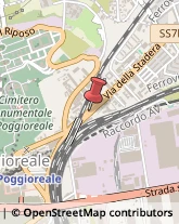 Agenzie di Animazione e Spettacolo,80143Napoli