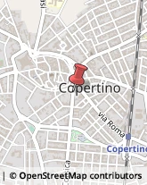 Catering e Ristorazione Collettiva Copertino,73043Lecce
