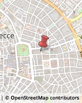 Piante e Fiori - Dettaglio Lecce,73100Lecce