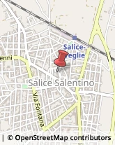 Laboratori di Analisi Cliniche Salice Salentino,73015Lecce