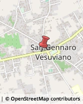 Erboristerie San Gennaro Vesuviano,80040Napoli