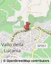 Parafarmacie Vallo della Lucania,84078Salerno