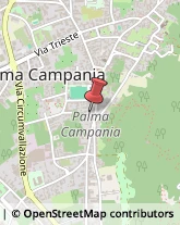 Associazioni di Volontariato e di Solidarietà Palma Campania,80036Napoli