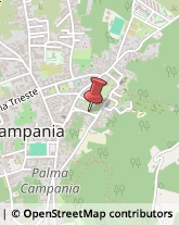 Macellerie Palma Campania,80036Napoli