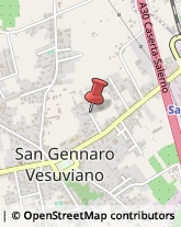 Autotrasporti San Gennaro Vesuviano,80040Napoli
