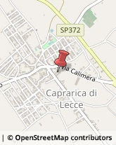 ,73010Lecce