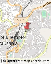 Caccia e Pesca Articoli - Dettaglio Tempio Pausania,07029Olbia-Tempio