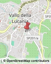 Informazioni Commerciali Vallo della Lucania,84078Salerno