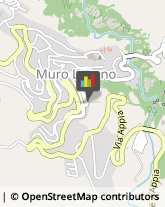 Assicurazioni Muro Lucano,85054Potenza