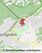 Agenti e Rappresentanti di Commercio,83013Avellino