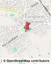 Piante e Fiori - Dettaglio Corigliano d'Otranto,73022Lecce