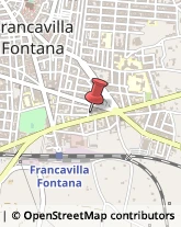 Piante e Fiori Artificiali - Dettaglio Francavilla Fontana,72021Brindisi