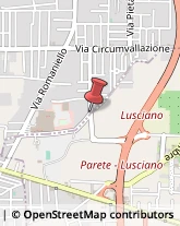 Frutta e Verdura - Ingrosso Lusciano,81038Caserta