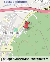 Aziende Agricole Roccapiemonte,84086Salerno