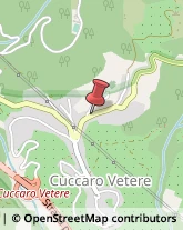 Autotrasporti Cuccaro Vetere,84050Salerno