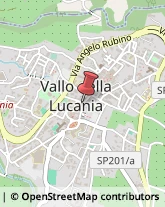 Scuole e Corsi per Corrispondenza e Teledidattica Vallo della Lucania,84078Salerno